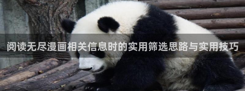 梦漫漫画漫画在线阅读:阅读无尽漫画相关信息时的实用筛选思路与实用技巧