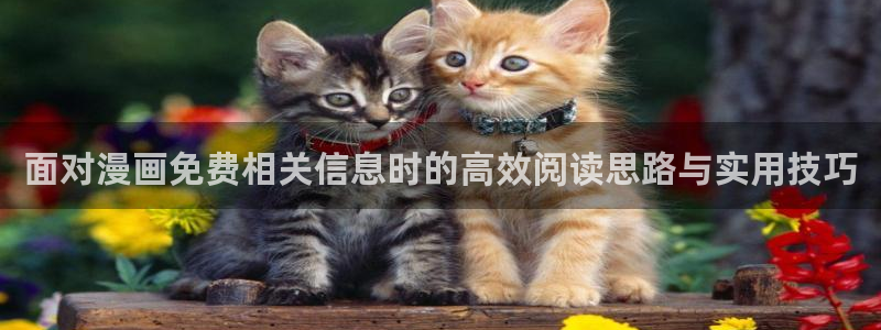 梦漫漫画客户端软件：面对漫画免费相关信息时的高效阅读思路与实用技巧