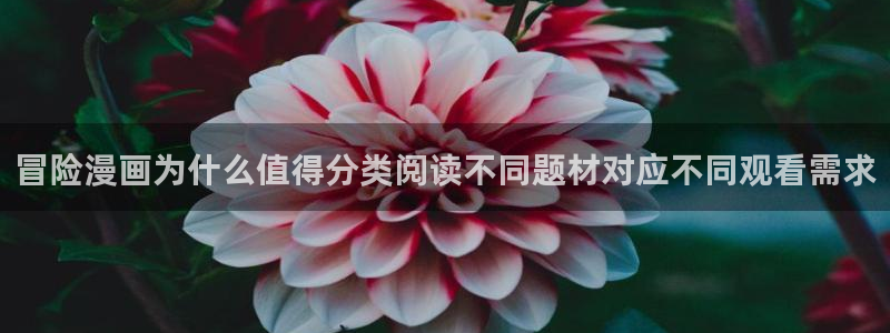 梦漫漫画新作推荐:冒险漫画为什么值得分类阅读不同题材对应不同观看需求