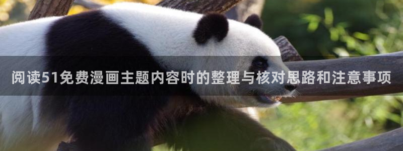 梦漫漫画漫画资源导航:阅读51免费漫画主题内容时的整理与核对思路和注意事项