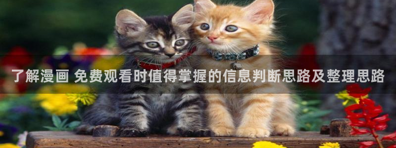梦漫漫画作品目录:了解漫画 免费观看时值得掌握的信息判断思路及整理思路