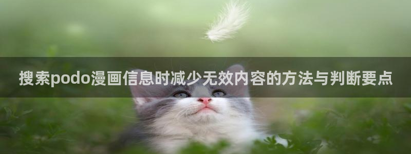 梦漫漫画今日漫画更新：搜索podo漫画信息时减少无效内容的方法与判断要点